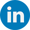 Icona LinkedIn